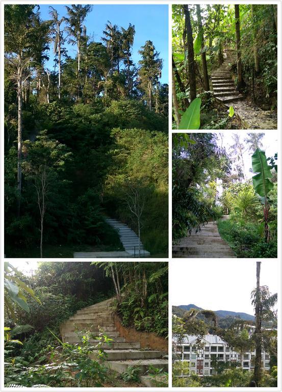 Strawberry Homestay Cameron Highlands Esterno foto